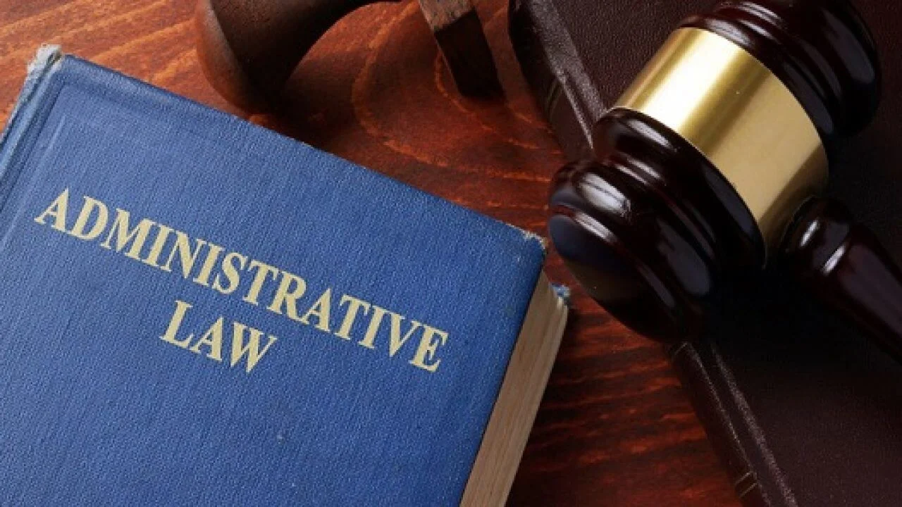It is critical for civil servants to implement law and constitution. The judgement expresses that civil servants are best placed to implement law and constitution.