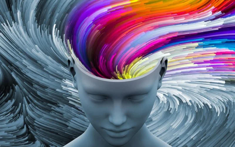 Imagination is the foundation of a functional state and society. Then, art of imagination is far superior to imitation and replica.