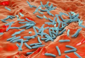 24 March is World Tuberculosis Day & Pakistan should implement the spirit of the day in the health system in order to cope the spread of disease.