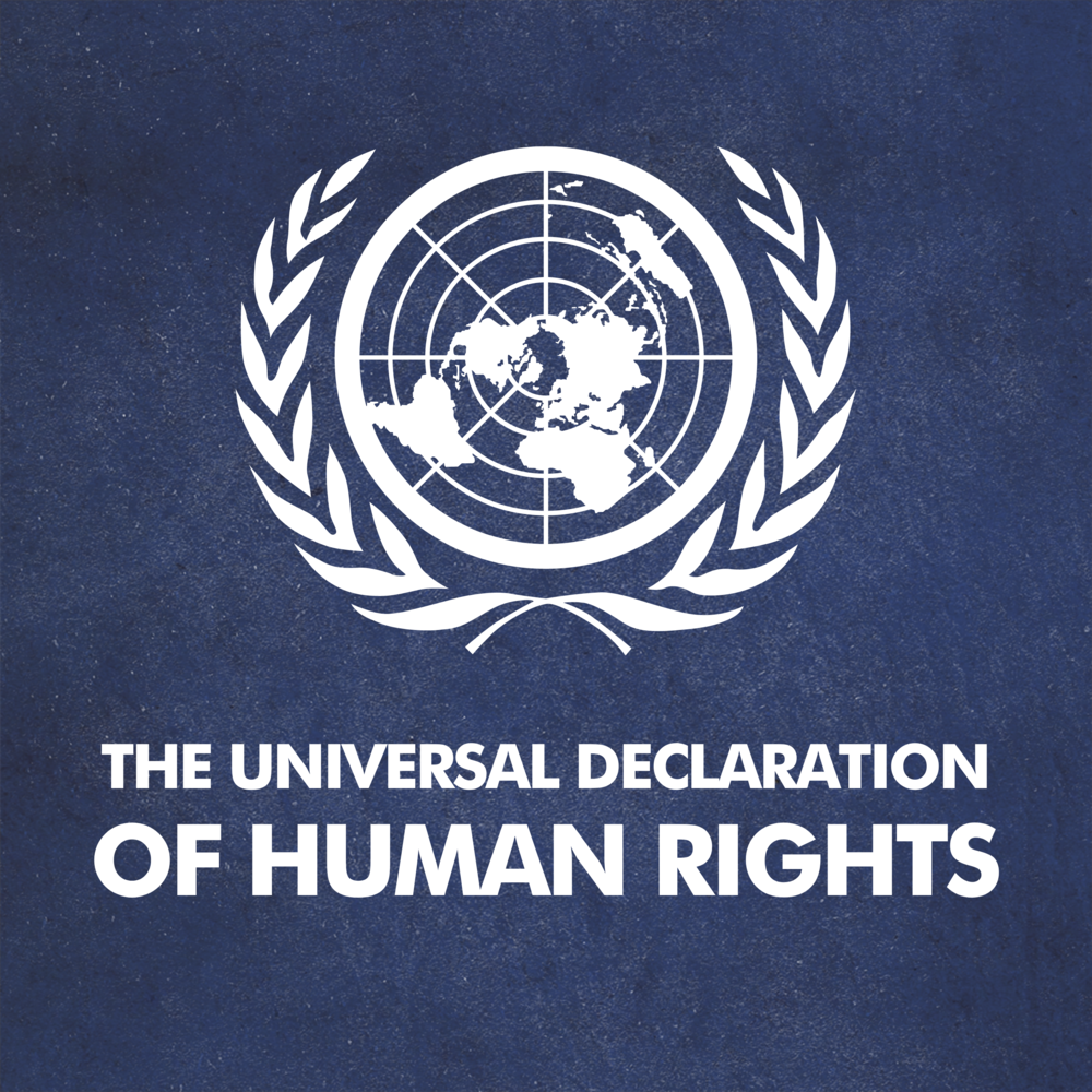 Why is it Critical to Know UN Universal Declaration on Human Rights for a Pakistani? Knowing Human Rights is essential for a respectful life.