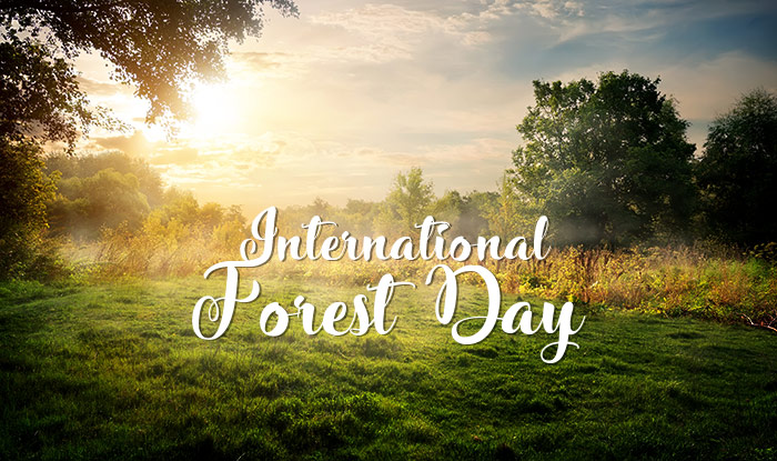 International Day of Forests 21 March & Billion Tree Tsunami in Pakistan may be a right step in the right direction to cater the menace of climate change.