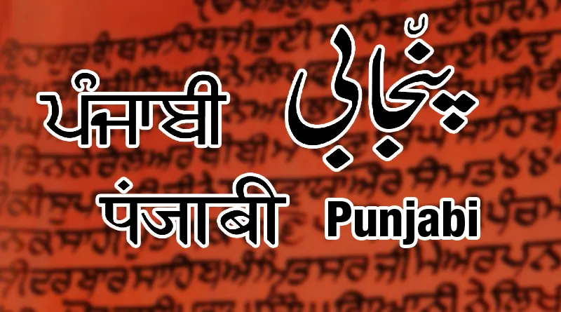 meaning of thesis in punjabi language